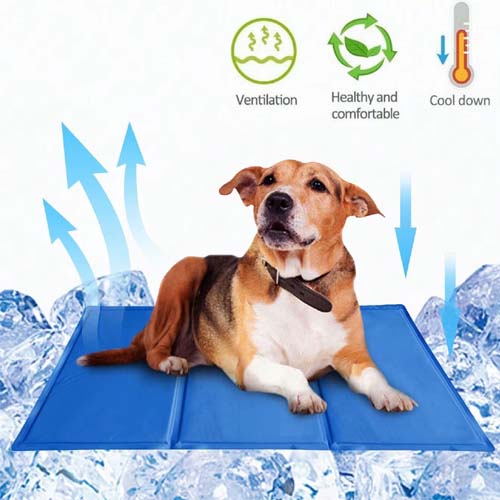 Summer Pets Cool Comfort Mat