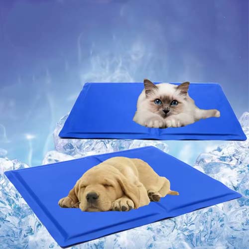 Summer Pets Cool Comfort Mat