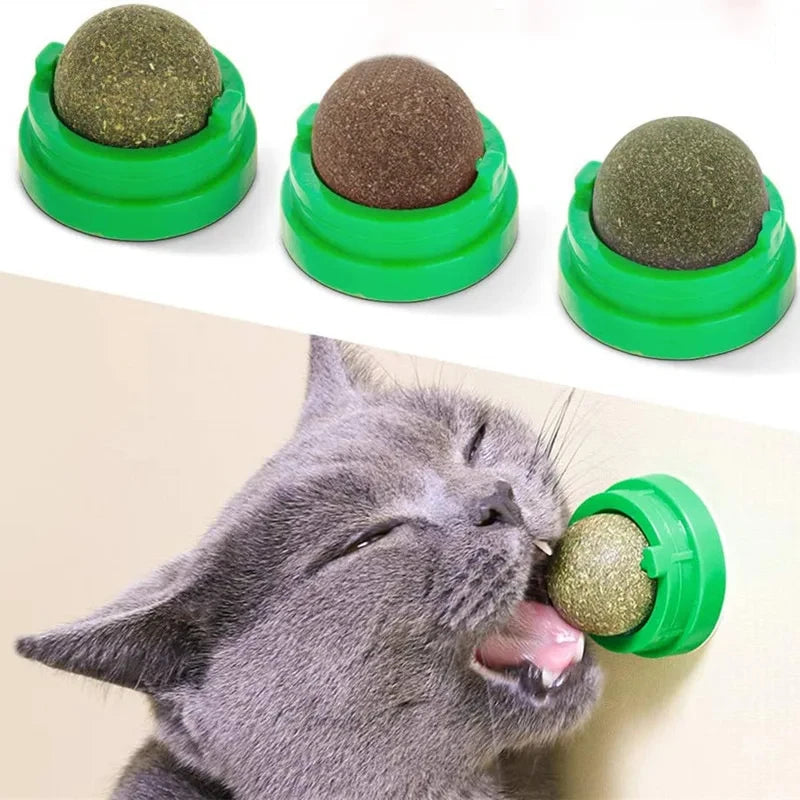 Purr-fect Catnip Wall Ball Toy