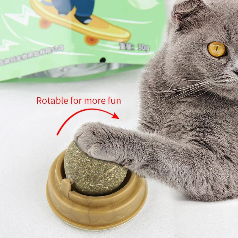 Purr-fect Catnip Wall Ball Toy